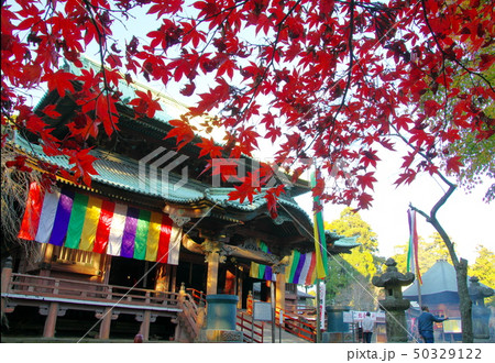 神野寺本堂と紅葉（千葉県君津市） 50329122