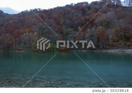 秘境白水湖と紅葉 秘境白水湖と紅葉 50329618
