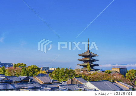 京都　春の八坂の塔（法観寺） 50329731
