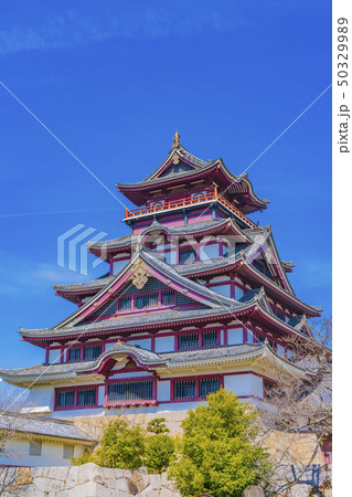 京都　伏見桃山城 50329989