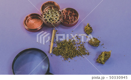 The person looks at marijuana bads with magnifying 50330945