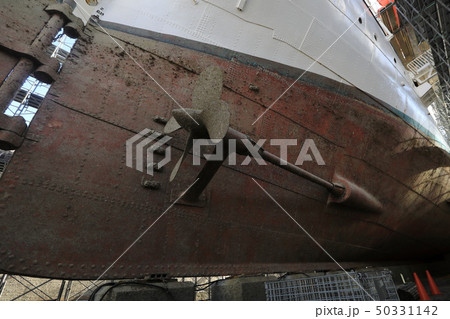 帆船日本丸 帆船日本丸 50331142