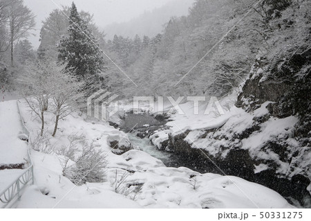 薬研渓谷 50331275