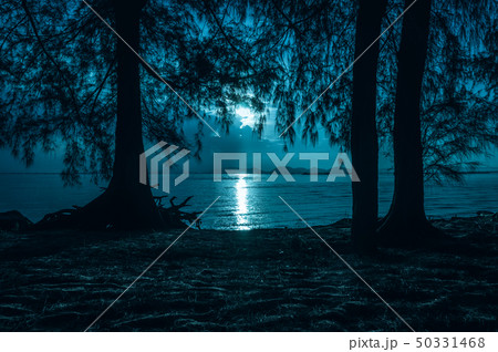Night sky and moonlight behind silhouettes of 50331468