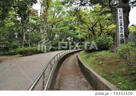 石川県立本多の森公園 50332100