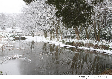 雪の中の池 50332248