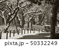 雪路 50332249
