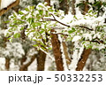 冬 50332253