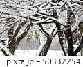 雪 50332254