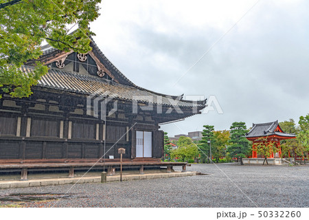 三十三間堂 境内風景 50332260