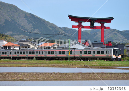 弥彦神社の大鳥居と弥彦線の電車 50332348