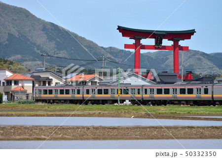 弥彦神社の大鳥居と弥彦線の電車 50332350