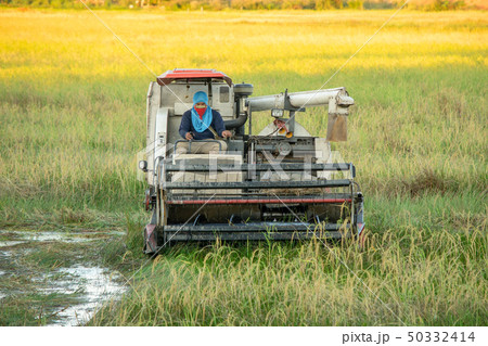 NAKHON PHANOM, THAILAND - NOV 18, 2018 50332414