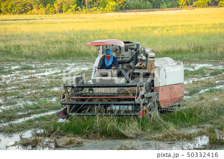NAKHON PHANOM, THAILAND - NOV 18, 2018 NAKHON PHANOM, THAILAND - NOV 18, 2018 50332416
