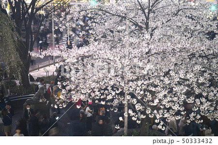 日本の東京都市景観 渋谷駅前などを望む 日本の東京都市景観 渋谷駅前などを望む 50333432