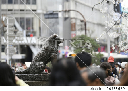 日本の東京都市景観　ハチ公像などを望む 50333629