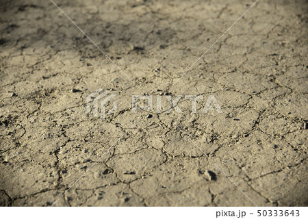 植物が育たないほど乾燥してカサカサになった、ひび割れたなった水分不足の土	 50333643