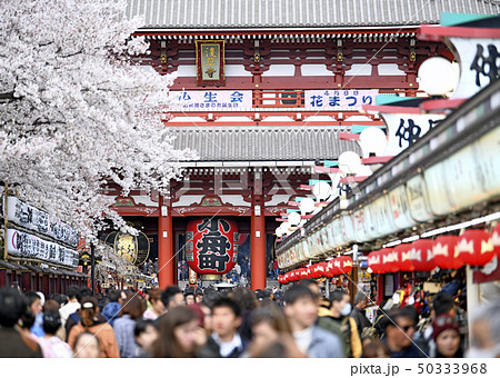 日本の東京都市景観  満開の桜と浅草寺 50333968