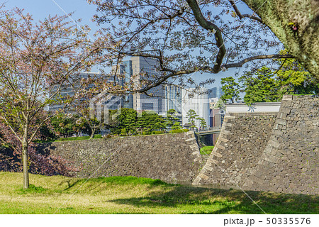 春の江戸城の乾濠と北桔橋門の風景 50335576