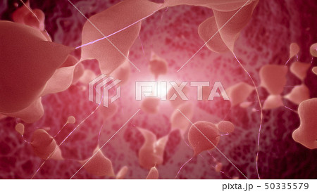 Neurons sending pulsating electric impulses 50335579