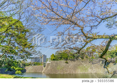 春の江戸城の乾濠と北桔橋門の風景 春の江戸城の乾濠と北桔橋門の風景 50335586