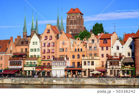 Gothic houses and cathedral in Gdansk, Poland 50336242