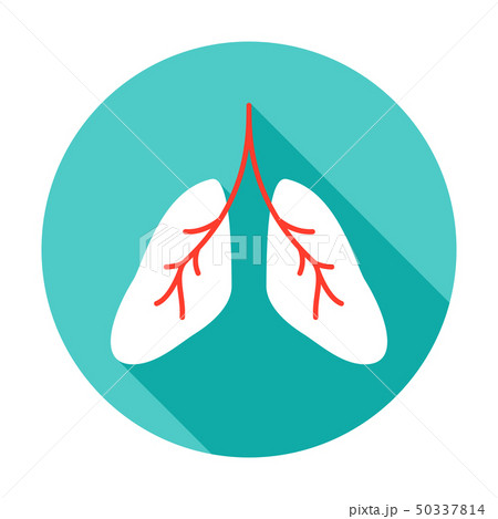 Lungs Circle Icon 50337814