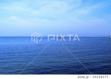 葉山（夏） 50338275