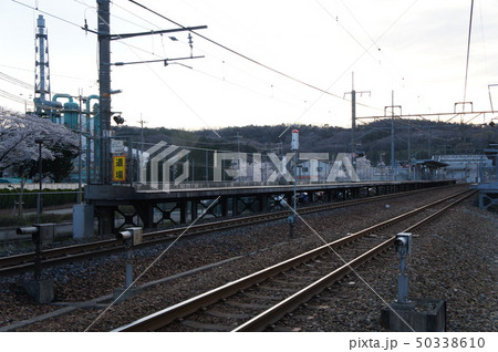 JR西日本　JR宝塚線（福知山線）　道場駅　構内（春） 50338610