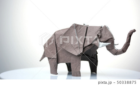 Grey origami elephant. 50338875