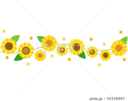 区切りなどに使いやすい向日葵のラインのイラスト 50338987