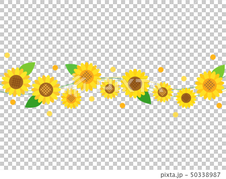 区切りなどに使いやすい向日葵のラインのイラスト 50338987