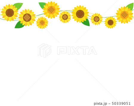 たっぷりのコピースペースをとった上に向日葵のラインを飾ったカード たっぷりのコピースペースをとった上に向日葵のラインを飾ったカード 50339051