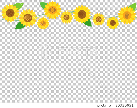 たっぷりのコピースペースをとった上に向日葵のラインを飾ったカード たっぷりのコピースペースをとった上に向日葵のラインを飾ったカード 50339051