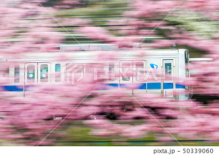 小田急線　2000形 50339060