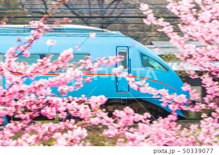 小田急線 ロマンスカーMSE 60000形 小田急線 ロマンスカーMSE 60000形 50339077