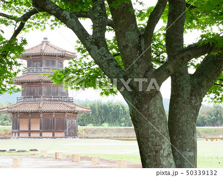 新緑鞠智城 50339132