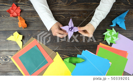 Mans hands doing origami flower. Mans hands doing origami flower. 50339201