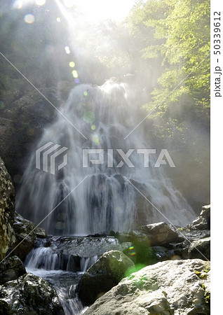 逆光の雷滝 逆光の雷滝 50339612