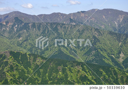 新緑の丹沢主脈 新緑の丹沢主脈 50339630
