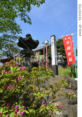 上野寛永寺 上野寛永寺 50340756