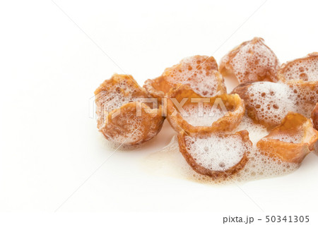 ソープナッツ　ランドリーナッツ　種無し:　soap nuts deseeded 50341305