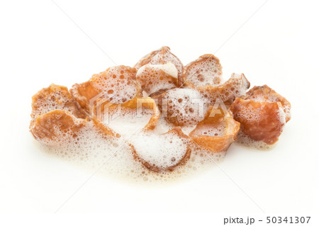 ソープナッツ　ランドリーナッツ　種無し:　soap nuts deseeded 50341307