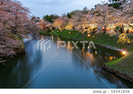 弘前城の桜 杉の大橋からの風景 ライトアップ 弘前城の桜 杉の大橋からの風景 ライトアップ 50341836