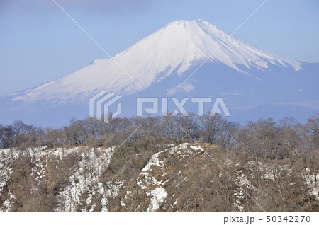 鍋割山稜と富士山 50342270