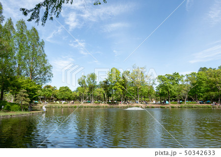 上尾丸山公園 50342633