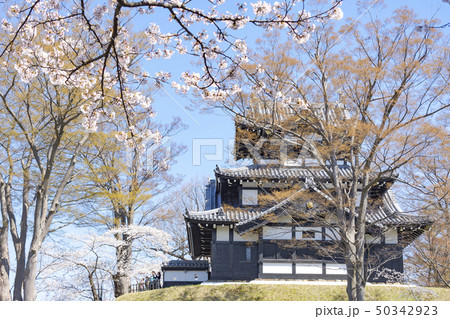 高田公園の桜 50342923