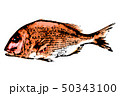鯛 50343100