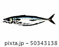 さば 50343138