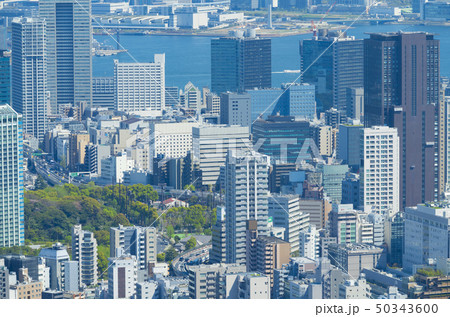東京風景　2019　六本木から望遠で望む田町　豊洲方面 50343600